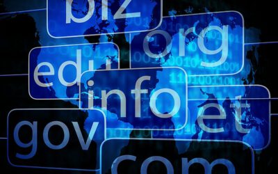 Domain law – 7 tips from the lawyer